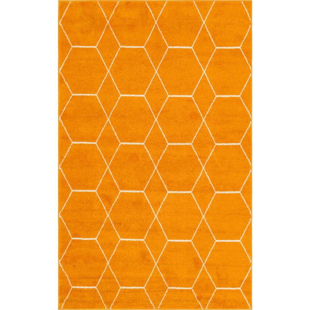 Geometric Trellis Frieze Rug, Orange (5' 0 x 8' 0). Picture 1