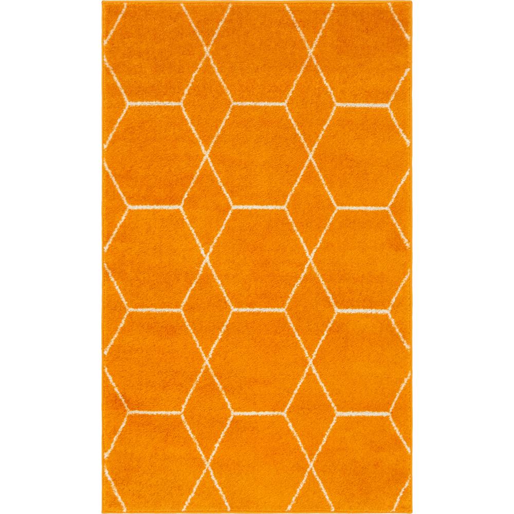 Geometric Trellis Frieze Rug, Orange (3' 3 x 5' 3). Picture 1
