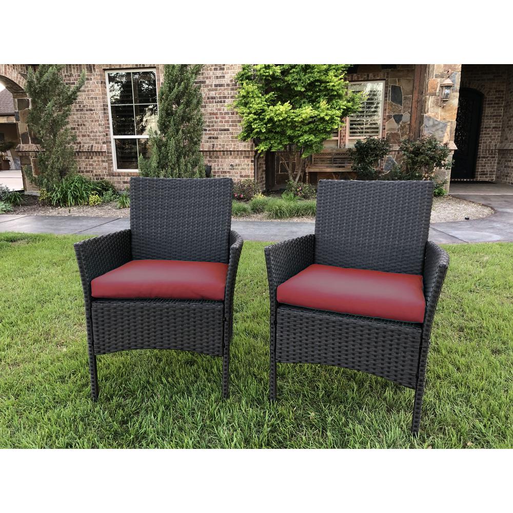 Resin Wicker/Steel Contemporary Arm Chair with Cushions  (Set of 2). Picture 1