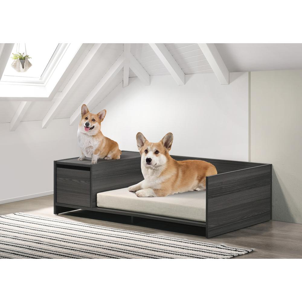 Esme Ash Gray 47" Wide Modern Comfy Pet Bed with Cushion and Side Storage Compartment. Picture 2