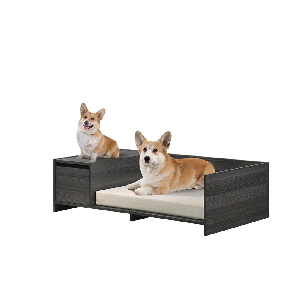 Esme Ash Gray 47" Wide Modern Comfy Pet Bed with Cushion and Side Storage Compartment. Picture 1