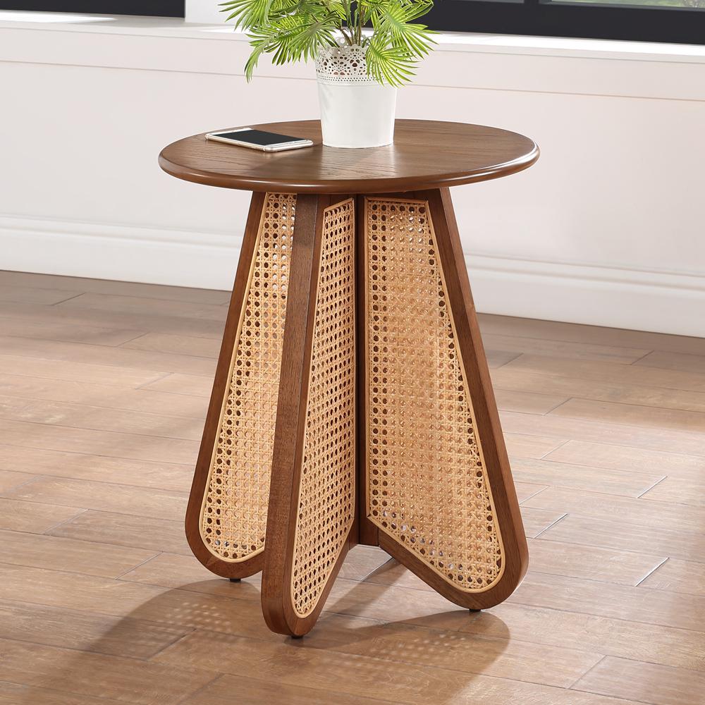 Taiwo Walnut Rattan End Table. Picture 6