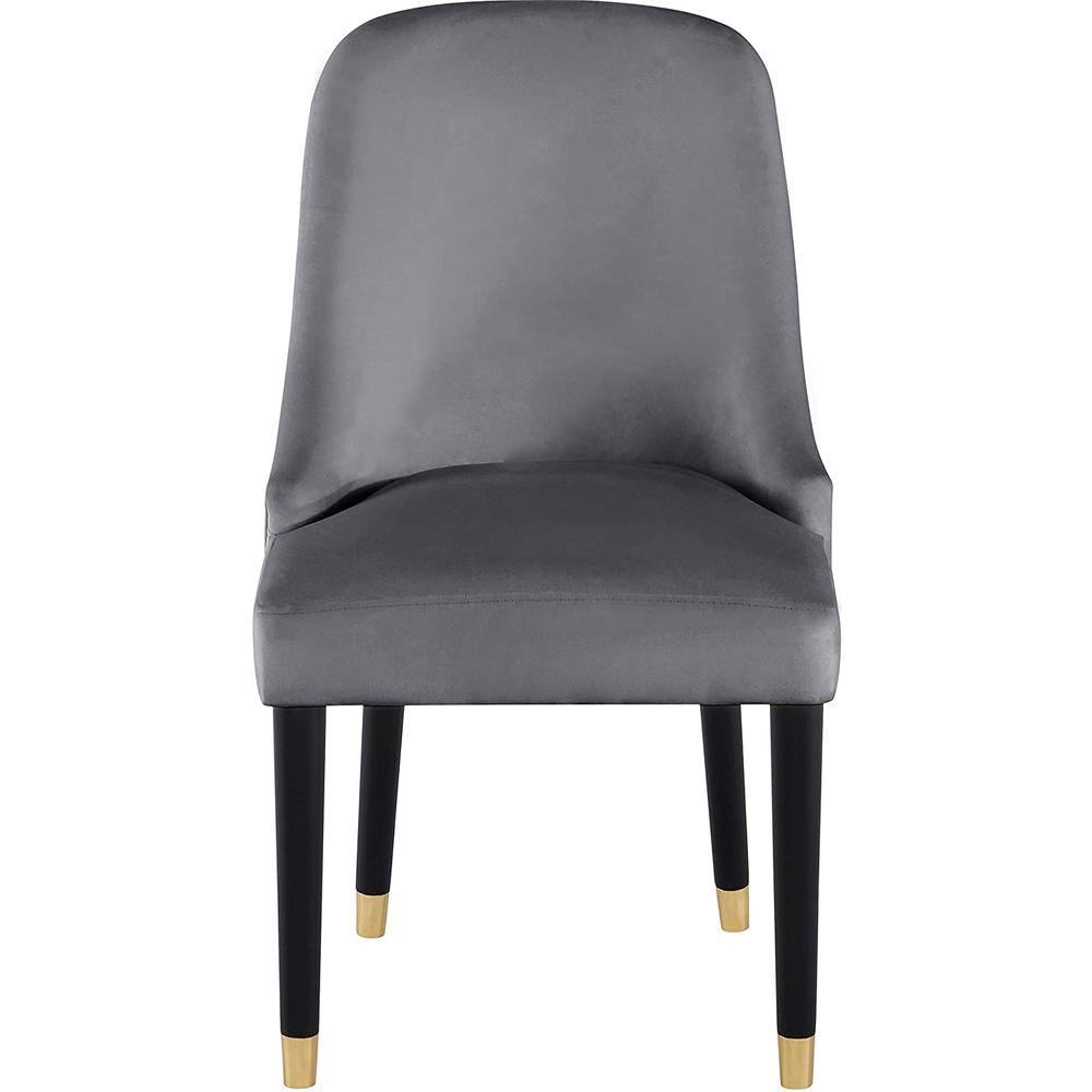Best Master Serenity Velvet Gray Side Chairs (Set of 2). Picture 3