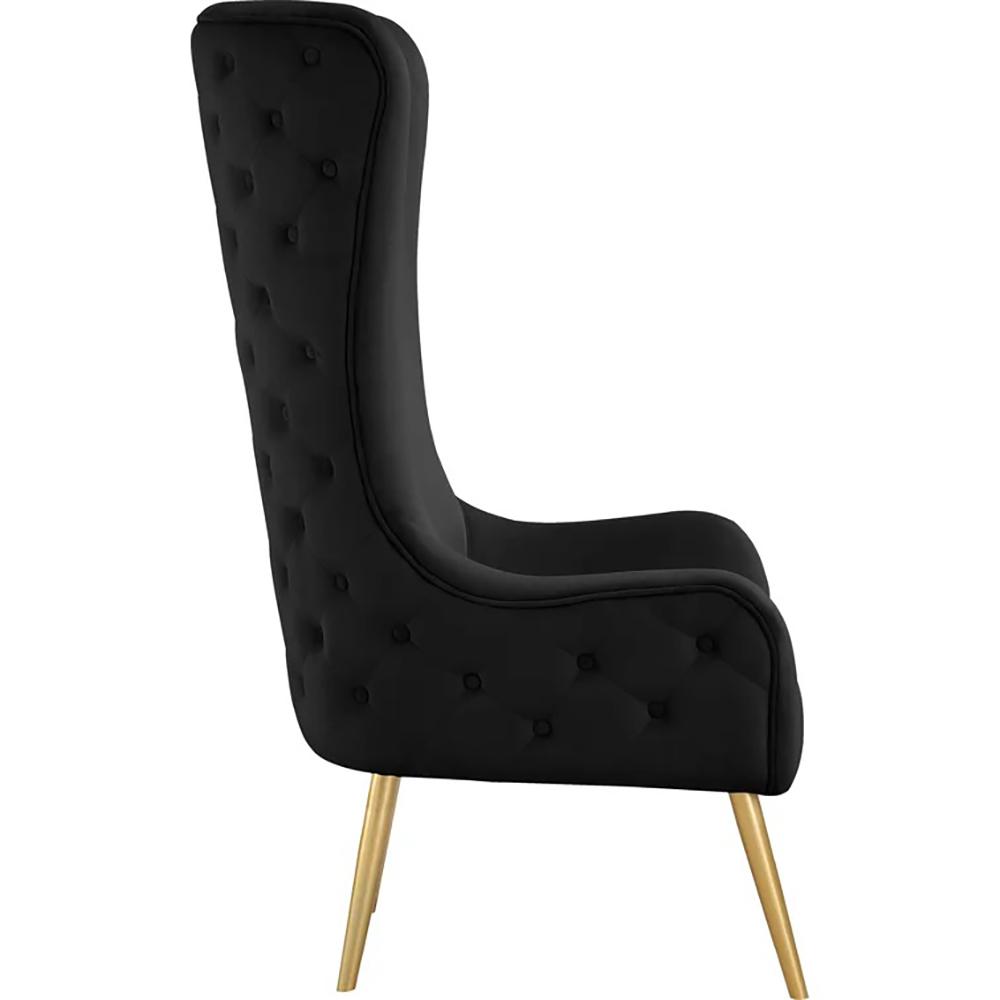 Venetian Black Tufted Velvet High Back Arm Chair. Picture 4