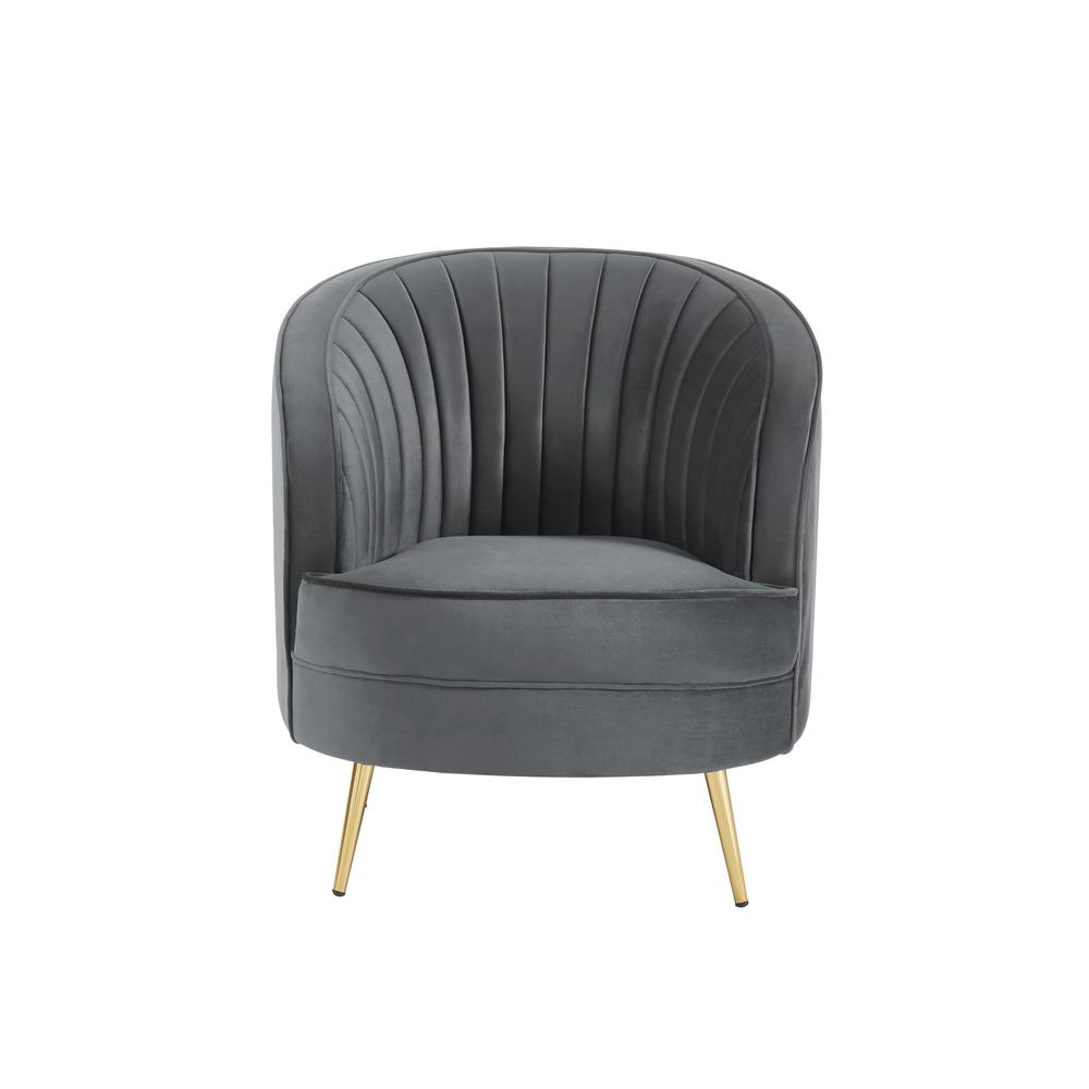 Wallace Modern Velvet Accent Chair in Gray. The main picture.