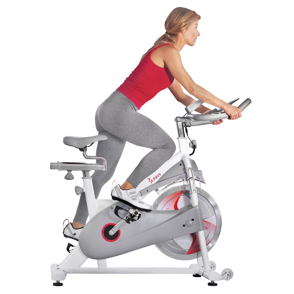 Sunny Health & Fitness Magnetic Belt Drive Premium Indoor Cycling Bike - SF-B1876. Picture 1