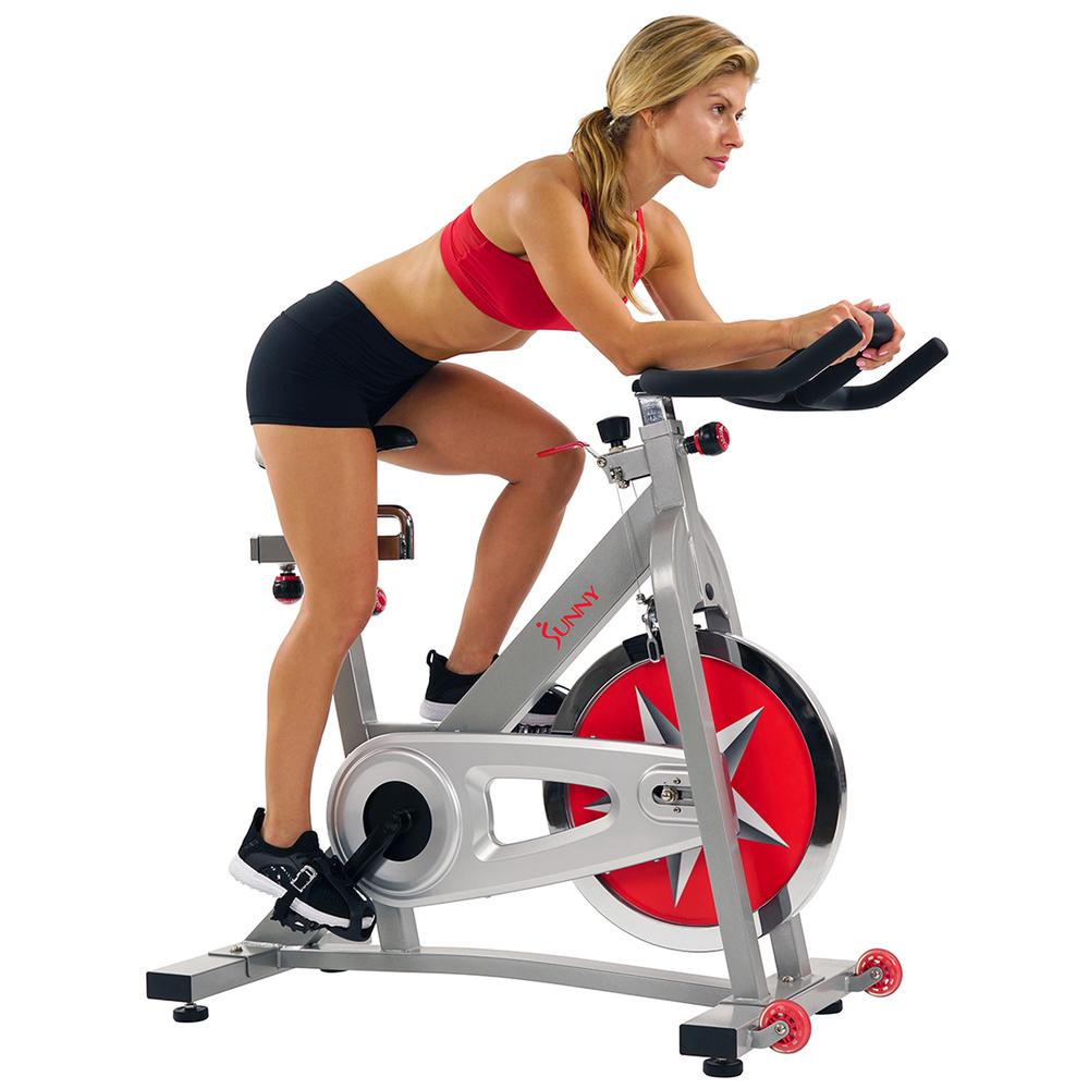Pro Indoor Cycling Bike. Picture 1