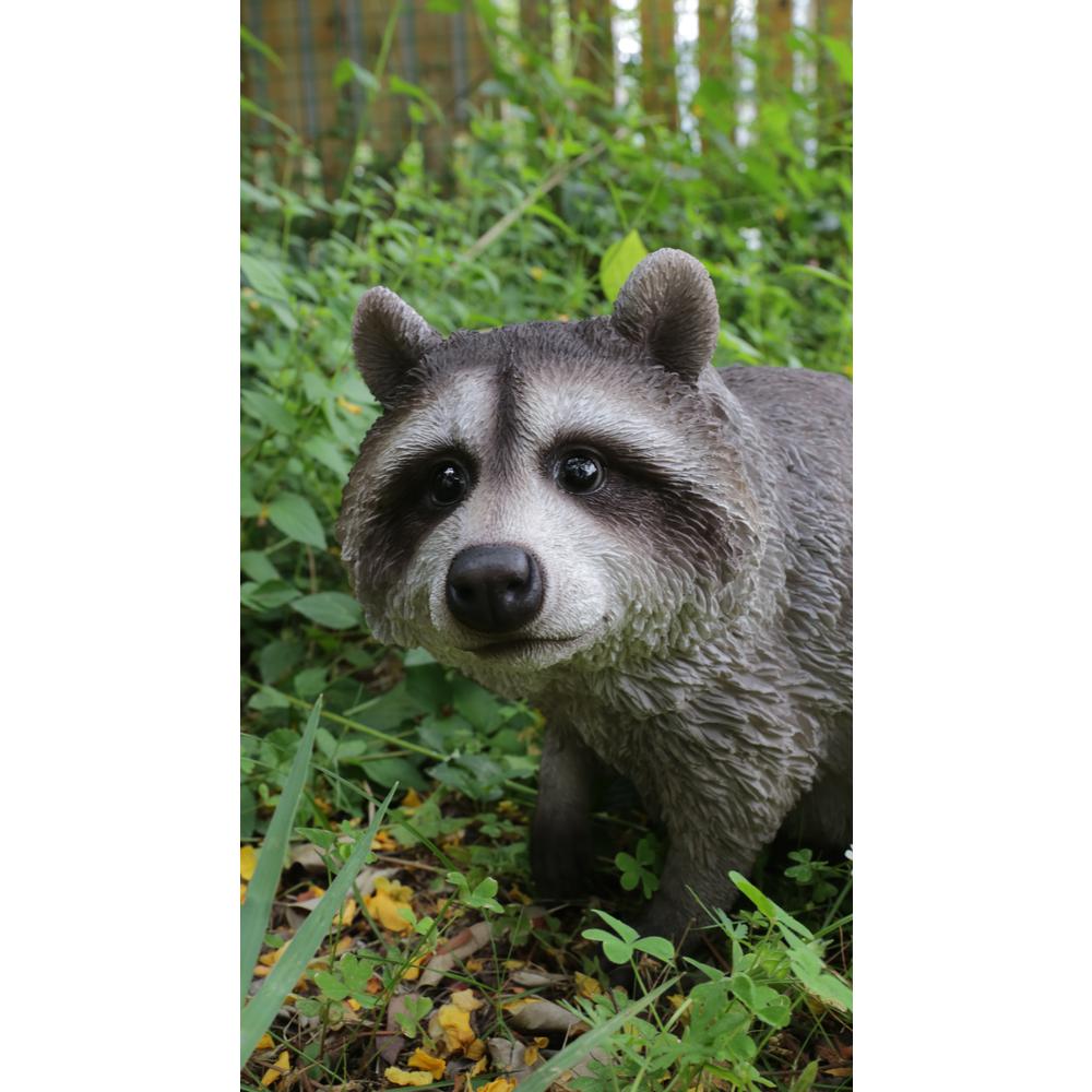 concrete raccoon garden statue