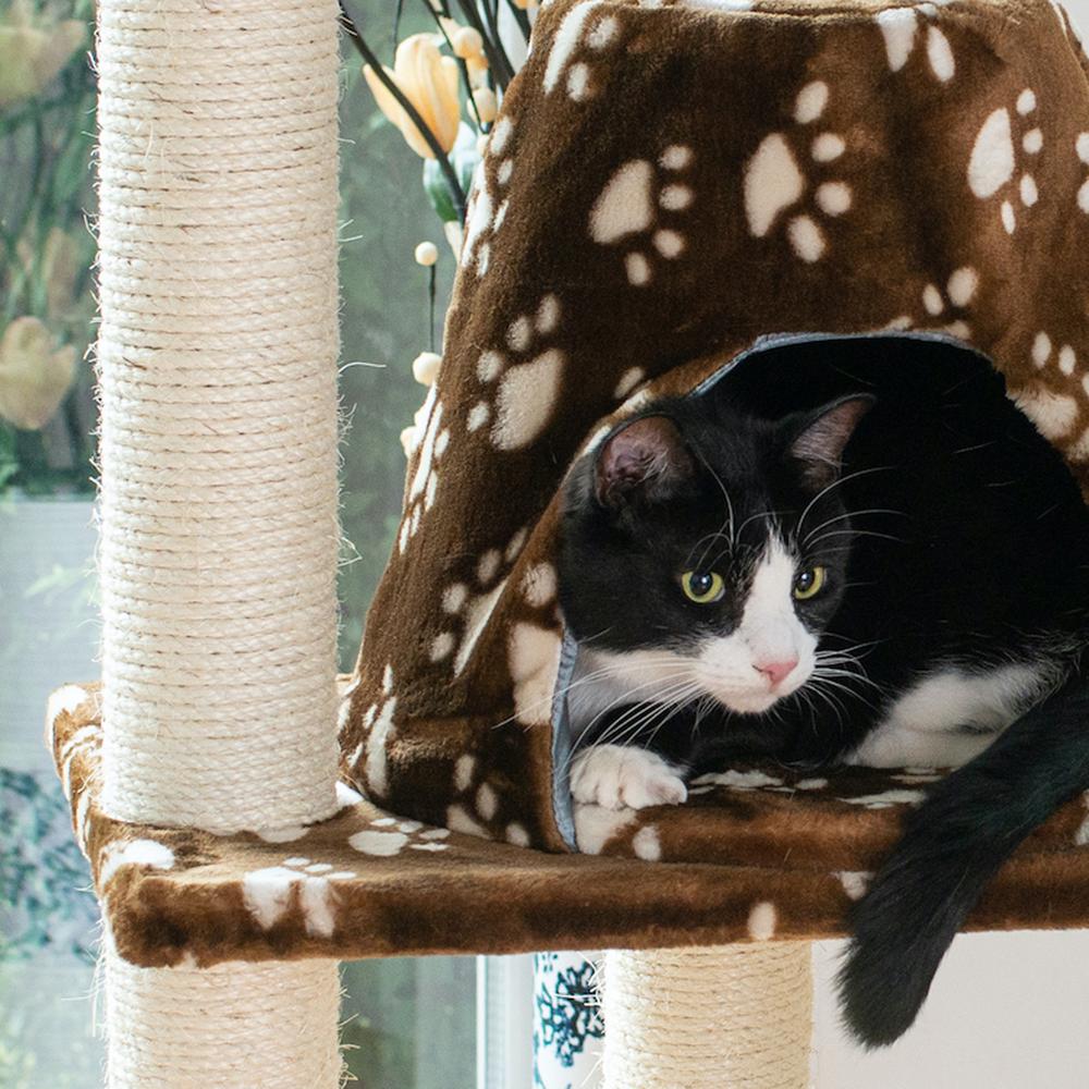 Armarkat Real Wood Cat Tree Hammock Bed With Natural Sisal Post for Cats and Kittens, A6601. Picture 3