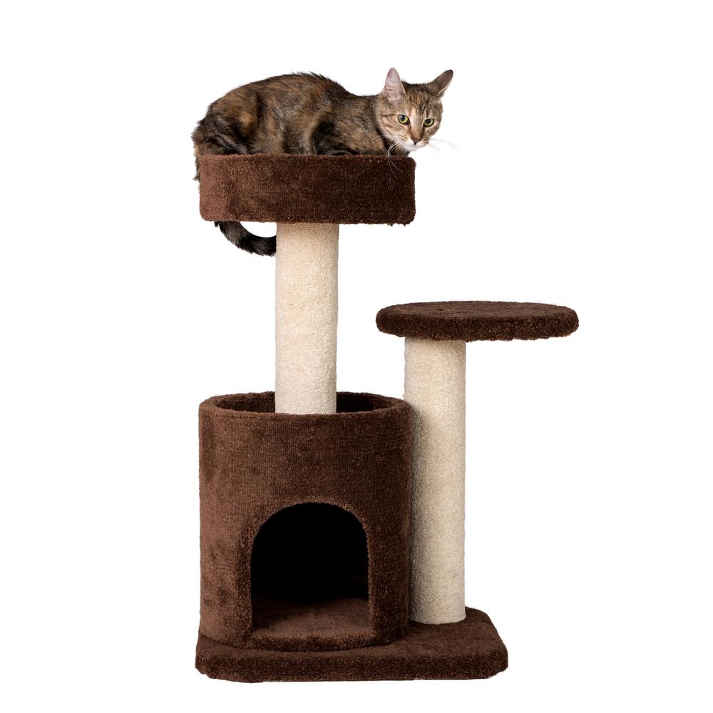 Armarkat F3005 Carpeted Real Wood Cat Tree Condo, Kitten Activity Tree, Brown. Picture 9