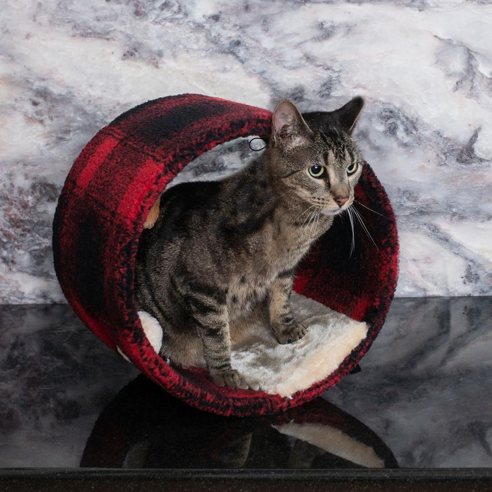 Armarkat B1201 Real Wood Cat Hideaway Tunnel, Scotch Plaid. Picture 4
