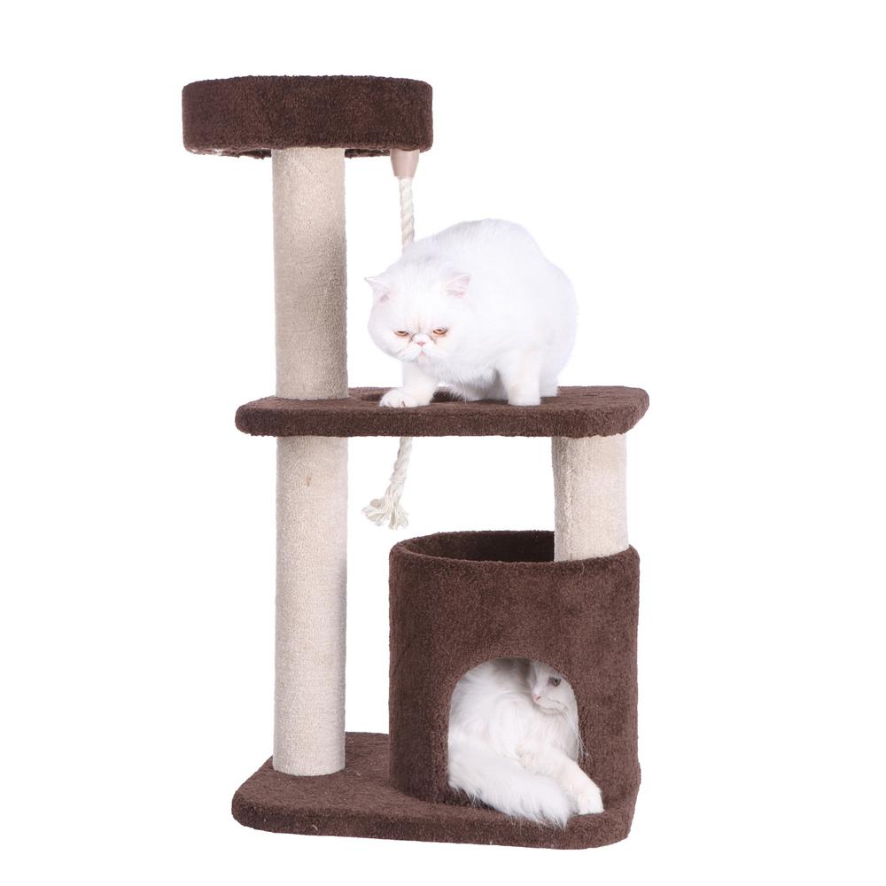 Armarkat 3-Tier Carpeted Real Wood Cat Tree Condo F3703 Kitten Activity Tree, Brown. Picture 9