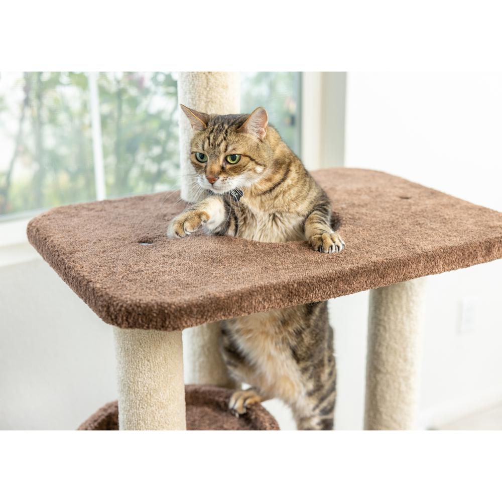 Armarkat 3-Level Carpeted Real Wood Cat Tree Condo F5602, Kitten Playhouse Climber Activity Center, Brown. Picture 10