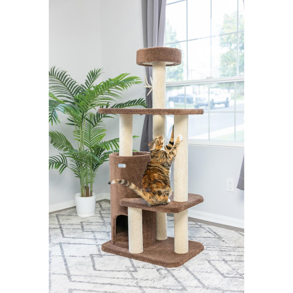 Armarkat 3-Level Carpeted Real Wood Cat Tree Condo F5602, Kitten Playhouse Climber Activity Center, Brown. Picture 8