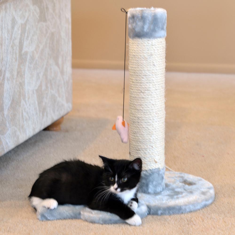 Armarkat Mouse Shape Real Wood Cat Scratcher Toy, Sisal Scratching Post For Kitty TraInIng. Picture 3