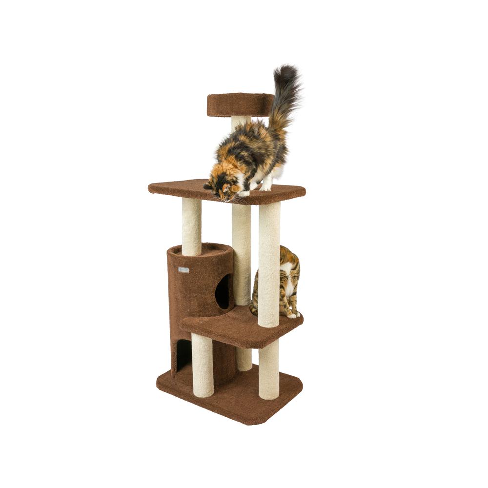 Armarkat 3-Level Carpeted Real Wood Cat Tree Condo F5602, Kitten Playhouse Climber Activity Center, Brown. Picture 2