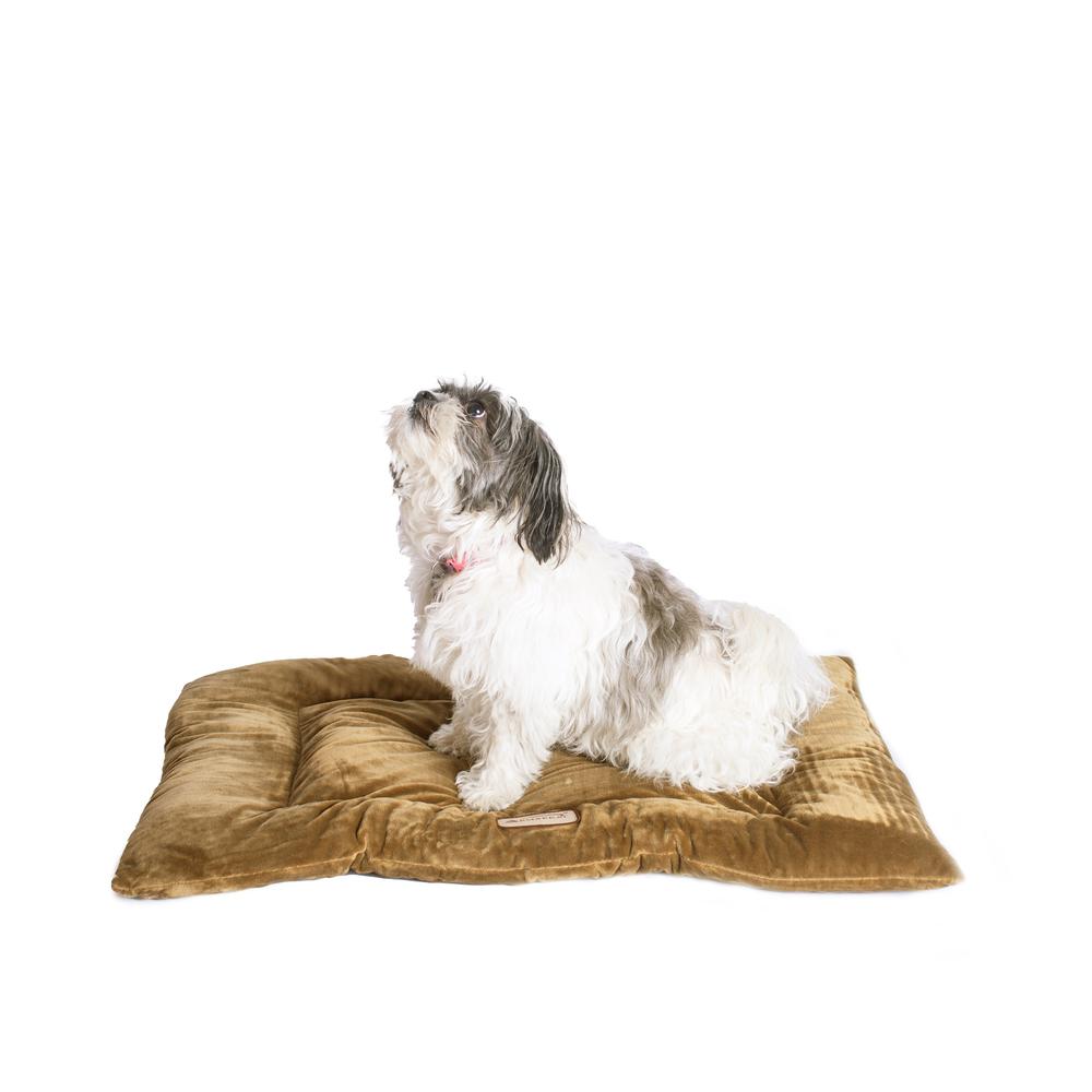 Armarkat Model M01CHL-M Medium Pet Bed Mat with Poly Fill Cushion in Sage Green. Picture 9