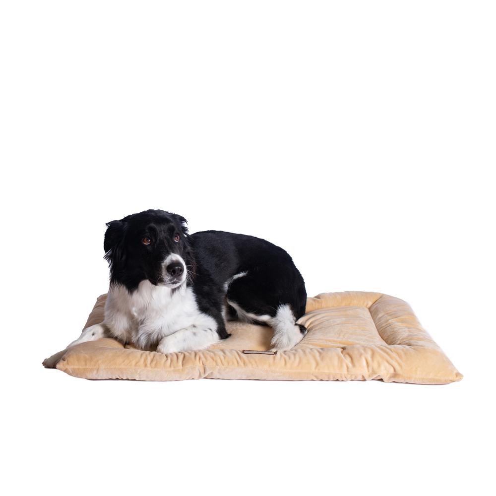 Armarkat Model M01CMH-L Large Pet Bed Mat with Poly Fill Cushion in Beige. Picture 9