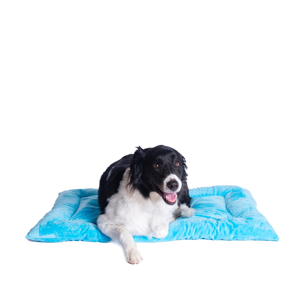 Armarkat Model M01CTL-L Large Pet Bed Mat with Poly Fill Cushion in Sky Blue. Picture 1