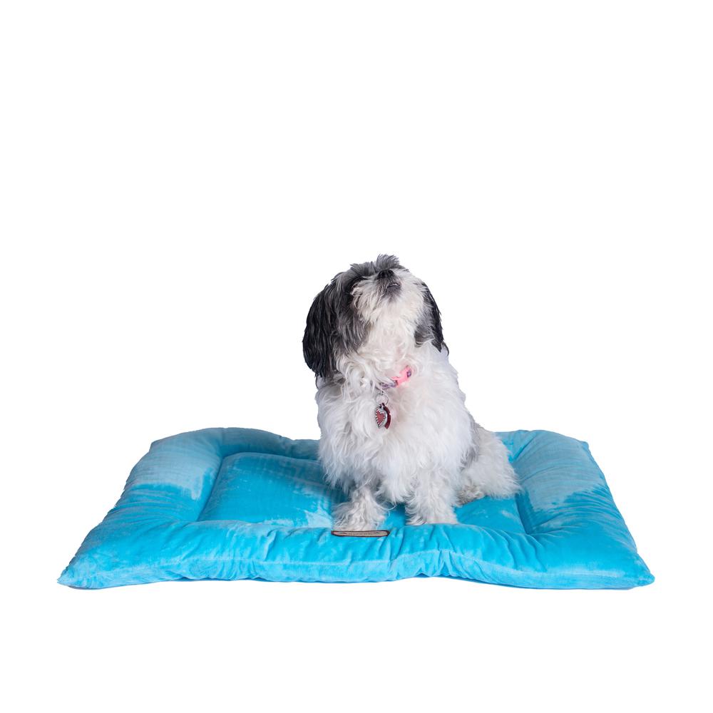 Armarkat Model M01CTL-M Medium Pet Bed Mat with Poly Fill Cushion in Sky Blue. Picture 9