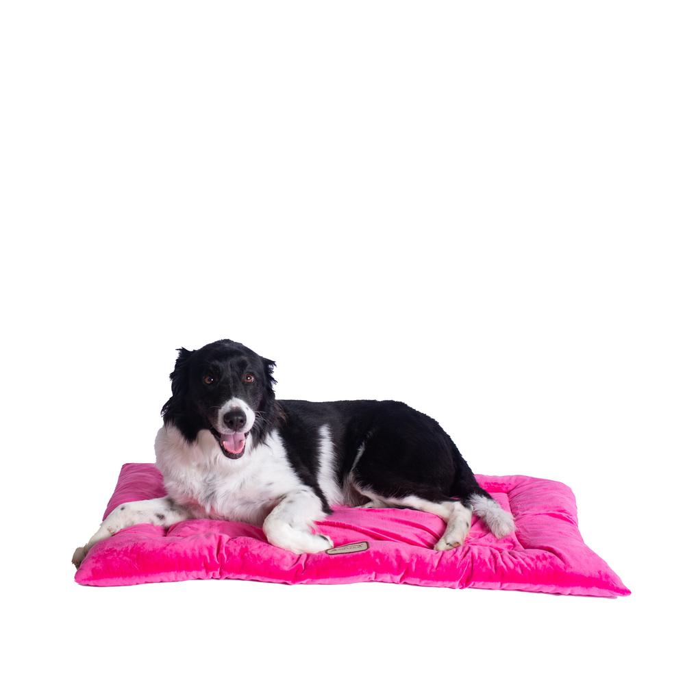 Armarkat Model M01CZH-L Large Pet Bed Mat with Poly Fill Cushion in Vibrant Pink. Picture 1