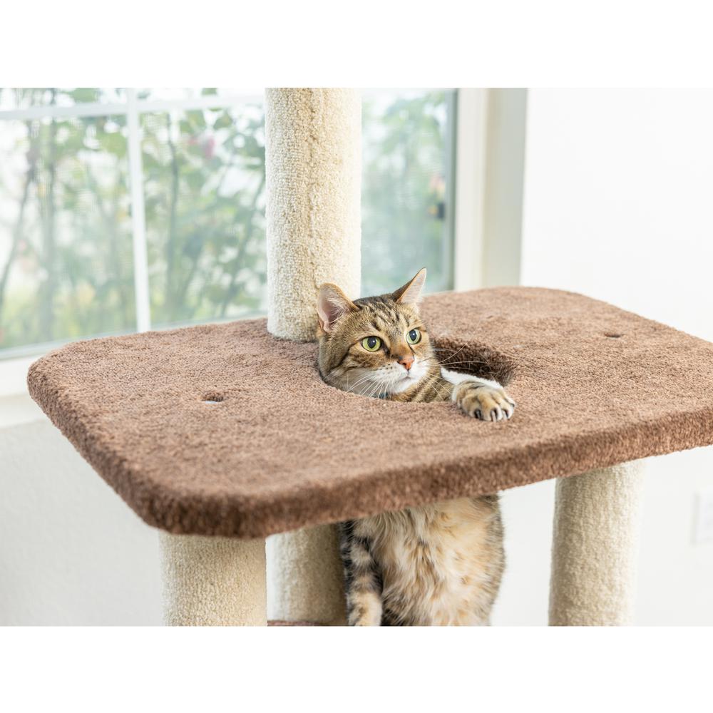 Armarkat 3-Level Carpeted Real Wood Cat Tree Condo F5602, Kitten Playhouse Climber Activity Center, Brown. Picture 4