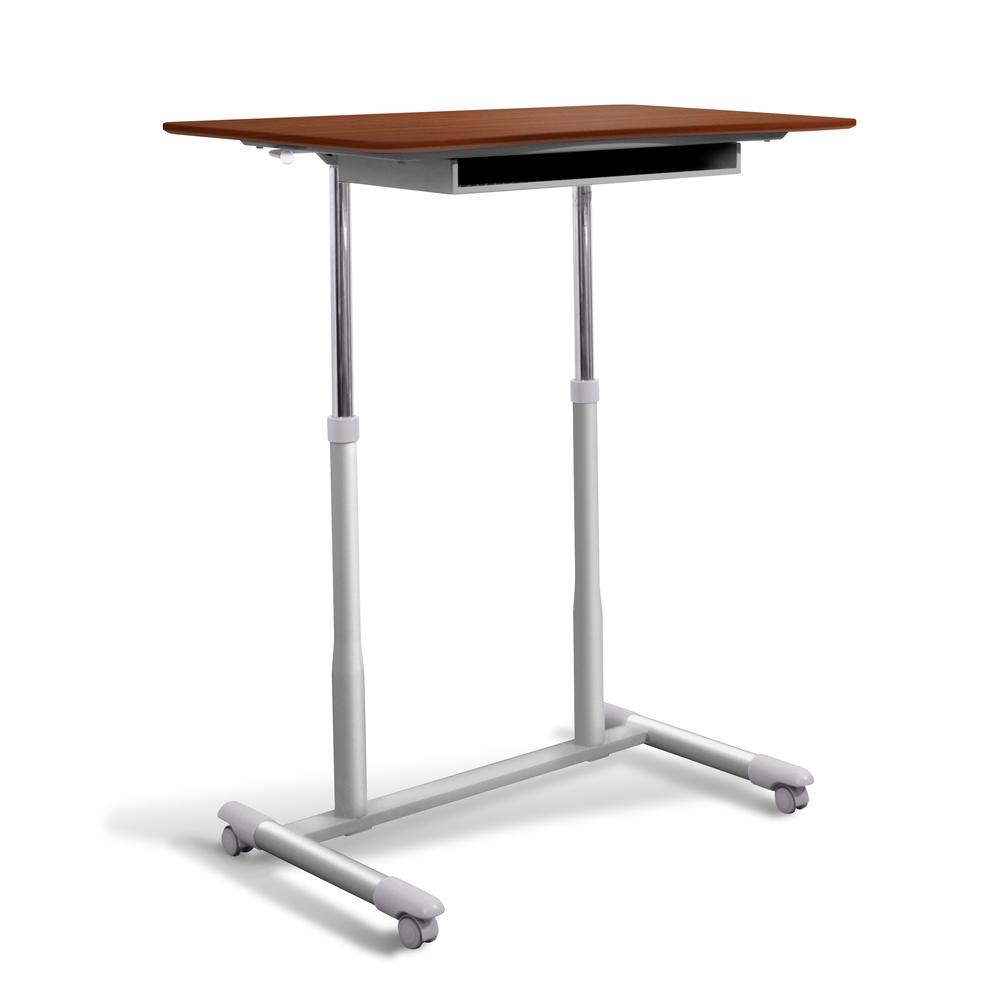205 Sit/Stand Desk Silver Base. The main picture.