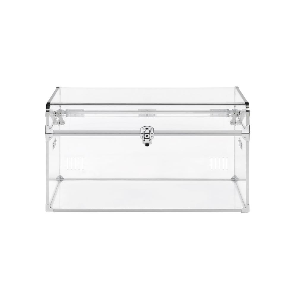 Acrylic Trunk, Clear Acrylic. Picture 1