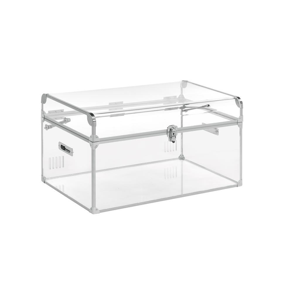 Acrylic Trunk, Clear Acrylic. Picture 2