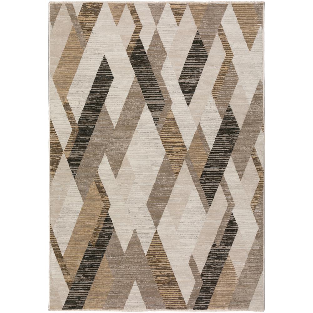 Emery AEE35 Taupe 5'3" x 7'8" Rug. Picture 1