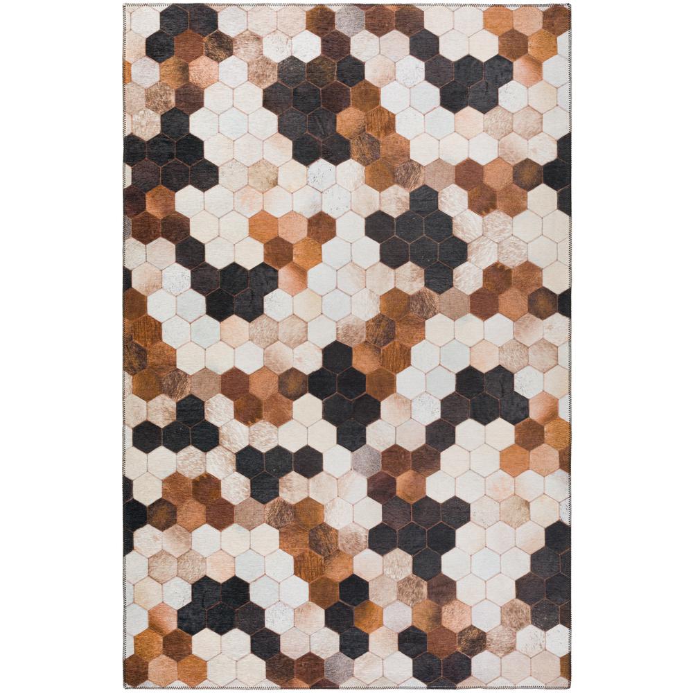 Indoor/Outdoor Stetson SS9 Canyon Washable 3' x 5' Rug. Picture 1