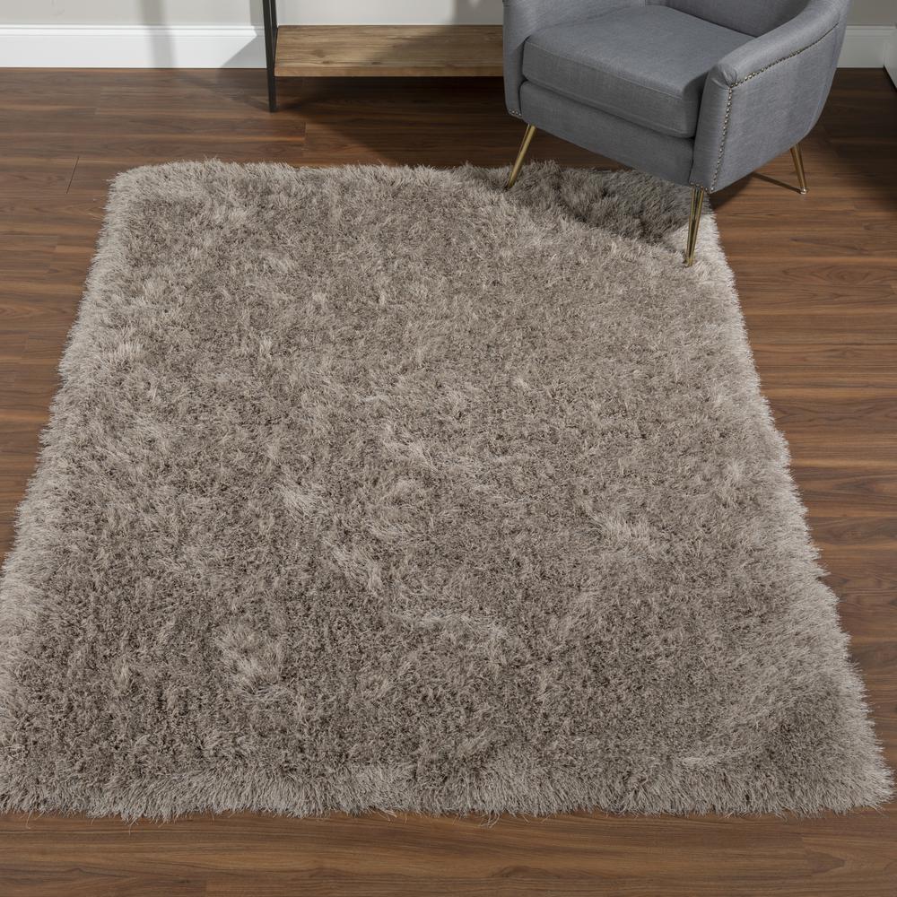 Aurora 31 Taupe 3'6"X5'6", Area Rug. The main picture.