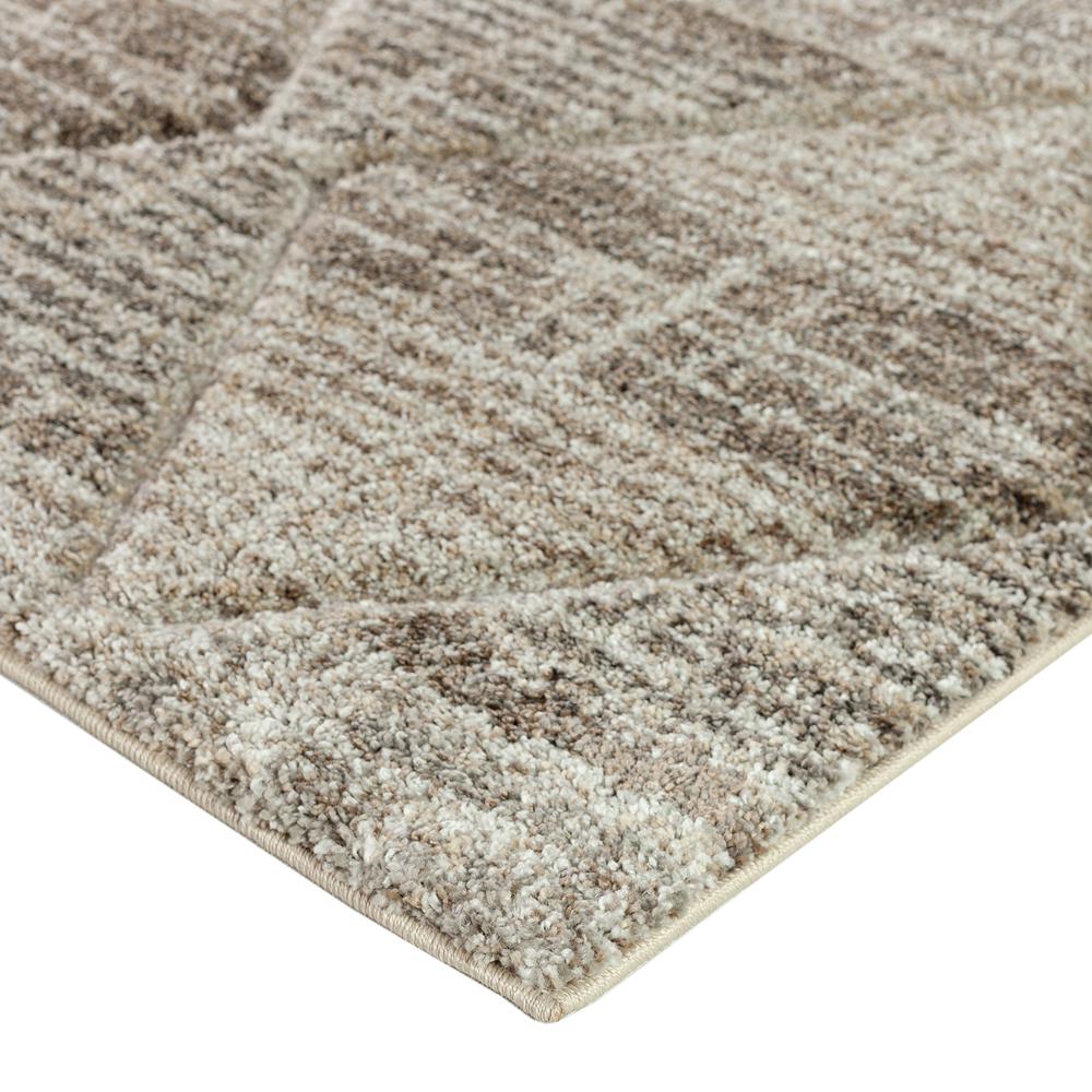 Carmona CO8 Driftwood 8' x 10' Rug. Picture 2