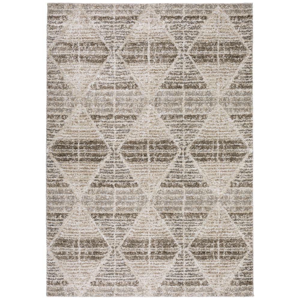 Carmona CO8 Driftwood 8' x 10' Rug. Picture 1