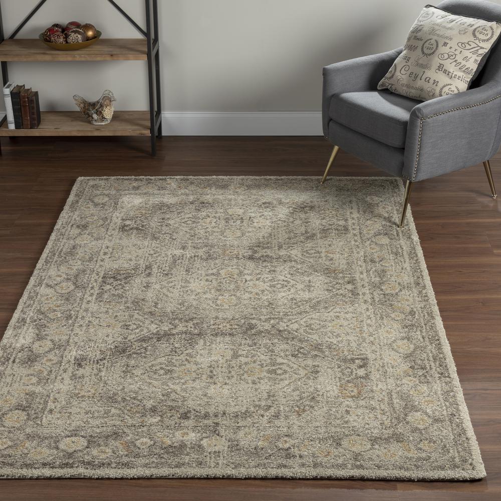 Tobin 38 Ivory 7'10"X10'7", Area Rug. Picture 1