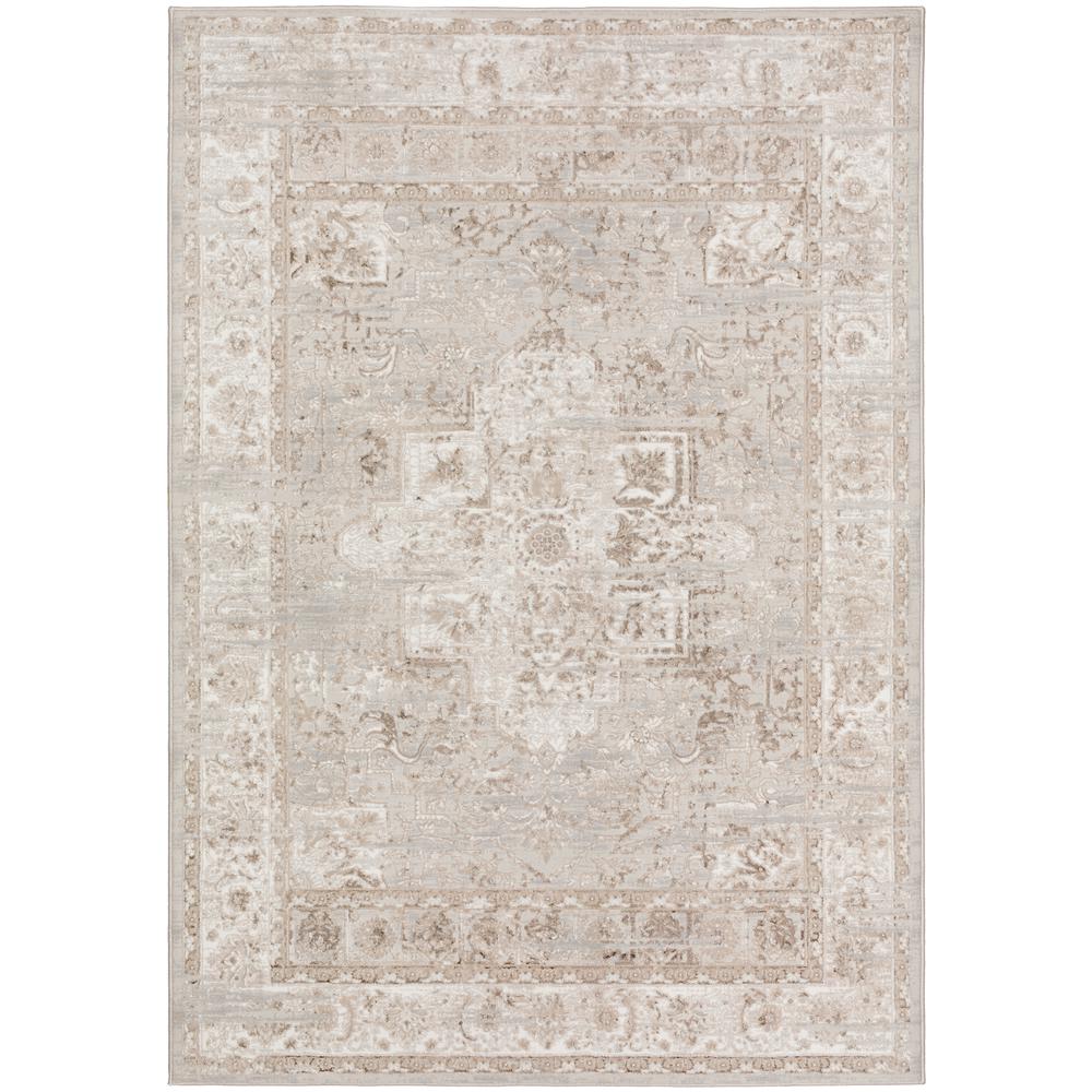 Rhodes RR6 Taupe 9' x 13' Rug. Picture 1