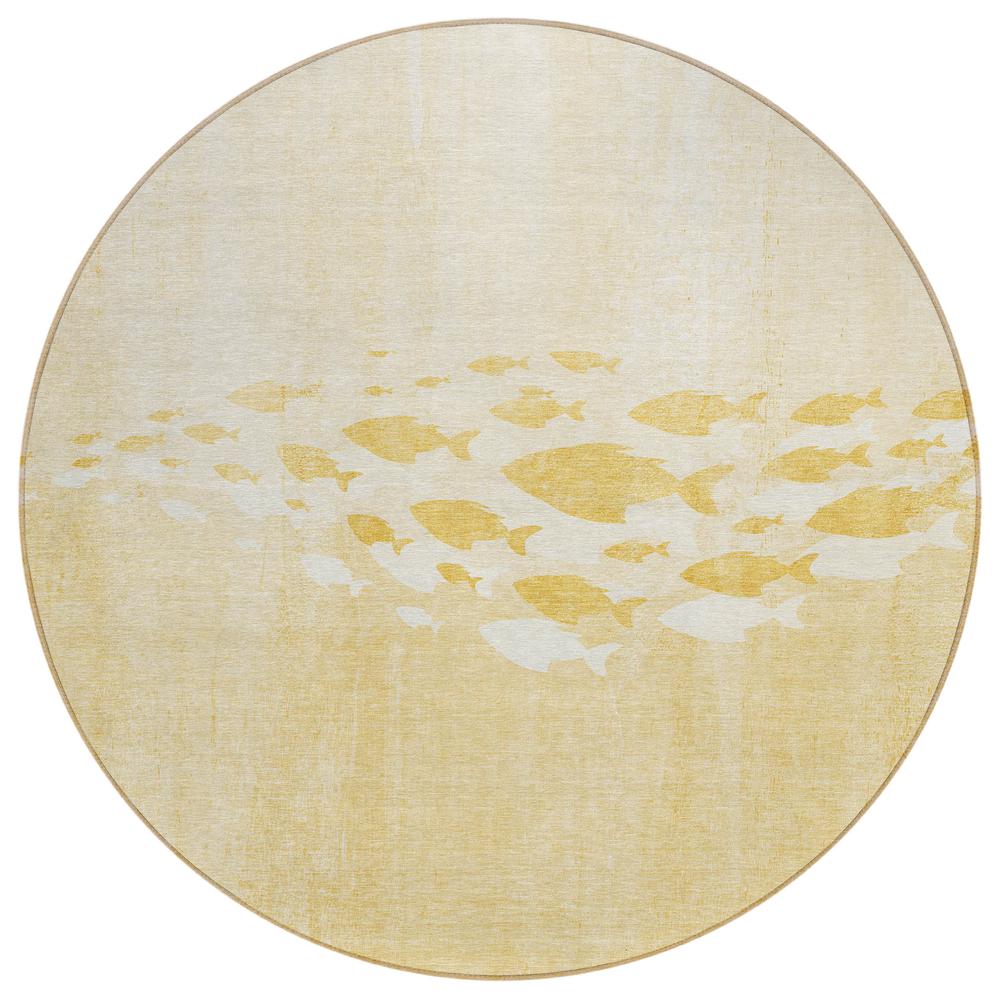 Chantille ACN627 Gold 8' x 8' Rug. Picture 1