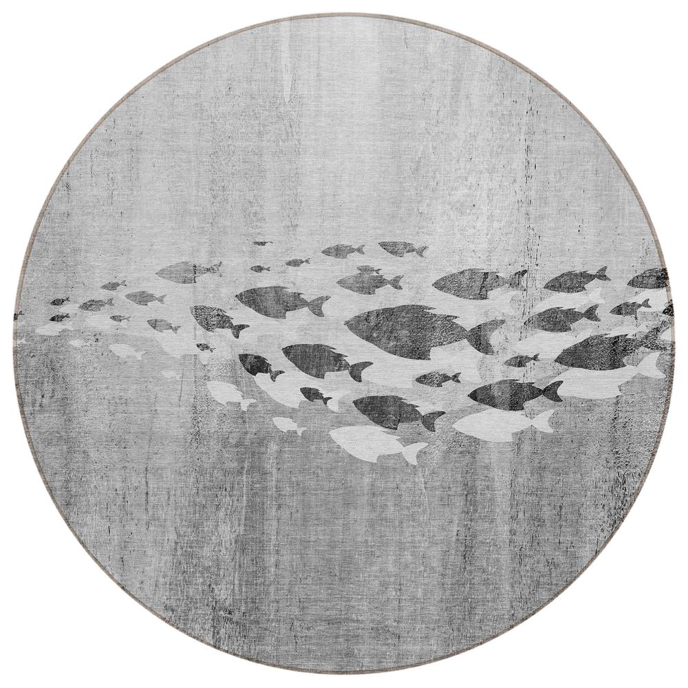 Chantille ACN627 Gray 8' x 8' Rug. Picture 1