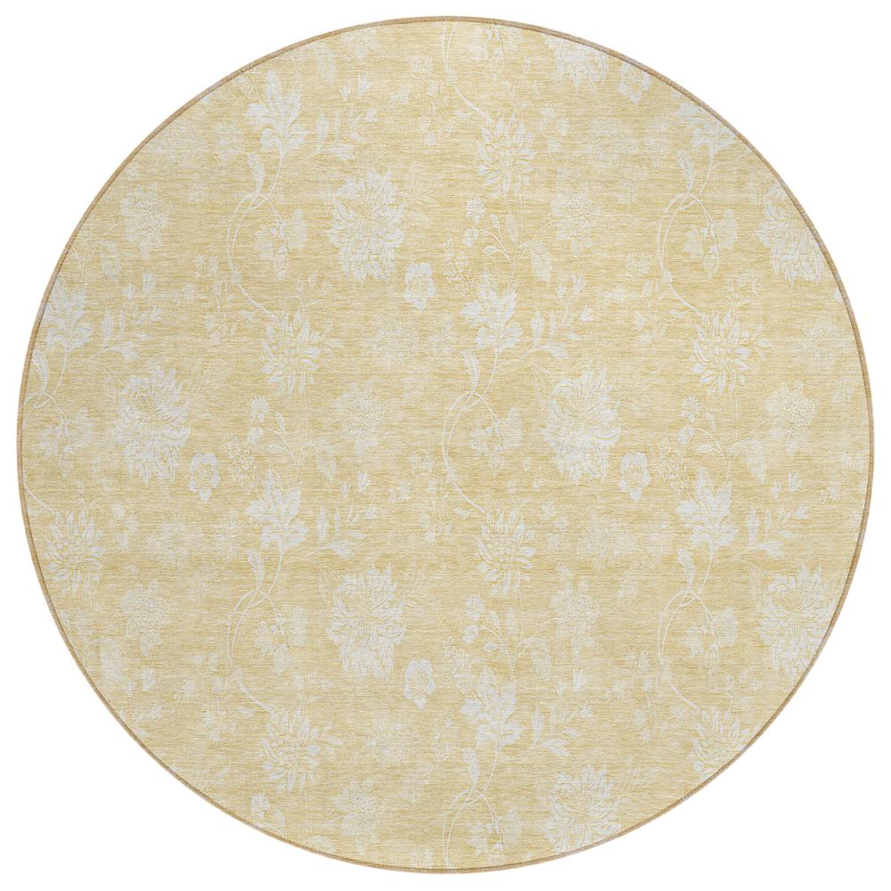 Chantille ACN681 Gold 8' x 8' Rug. Picture 1