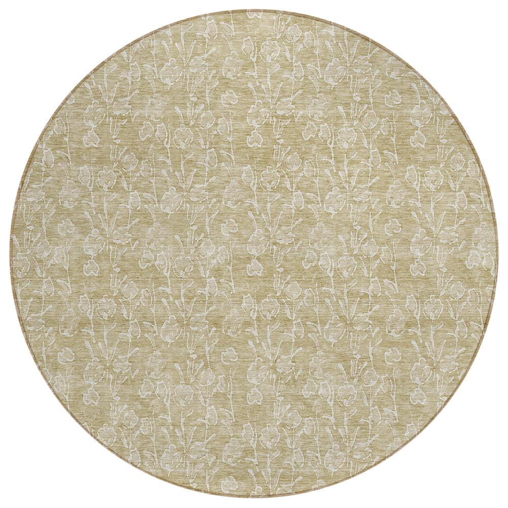 Chantille ACN691 Brown 8' x 8' Rug. Picture 1