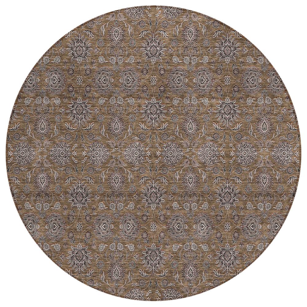 Chantille ACN702 Brown 8' x 8' Rug. Picture 1