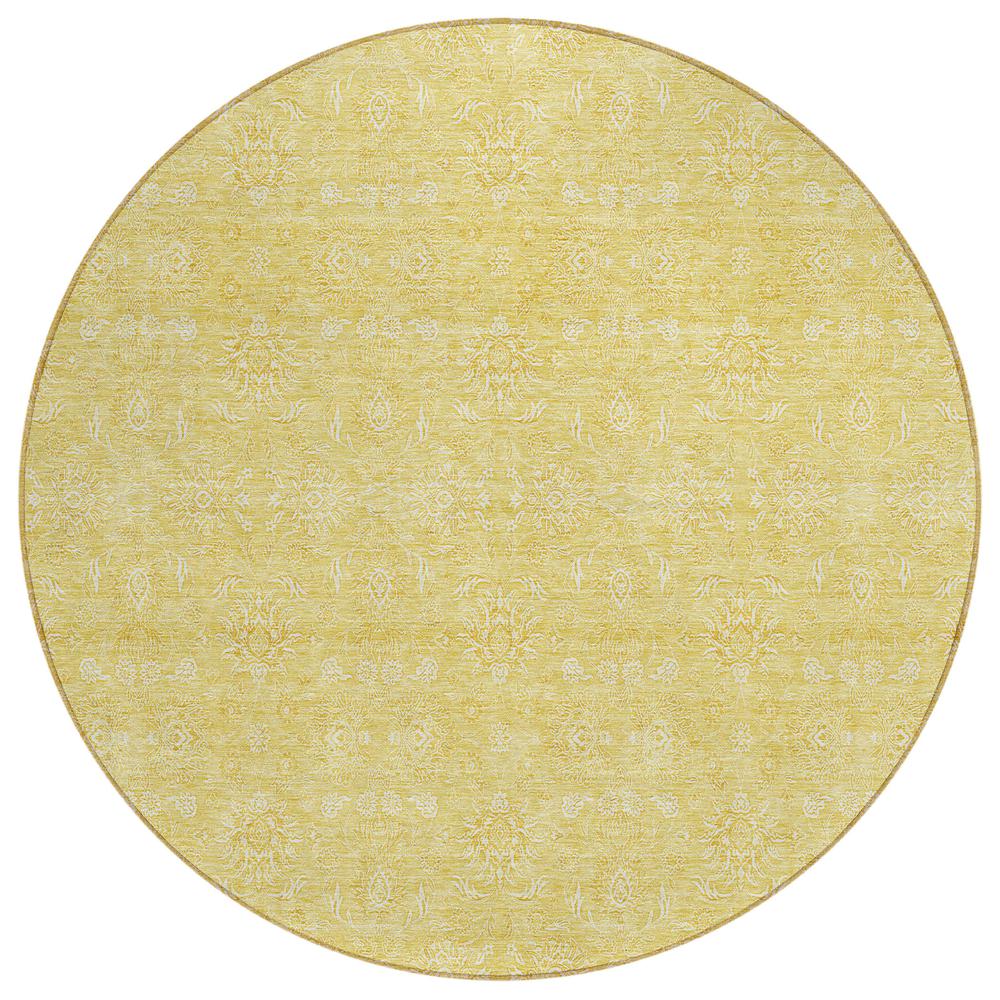 Chantille ACN703 Gold 8' x 8' Rug. Picture 1