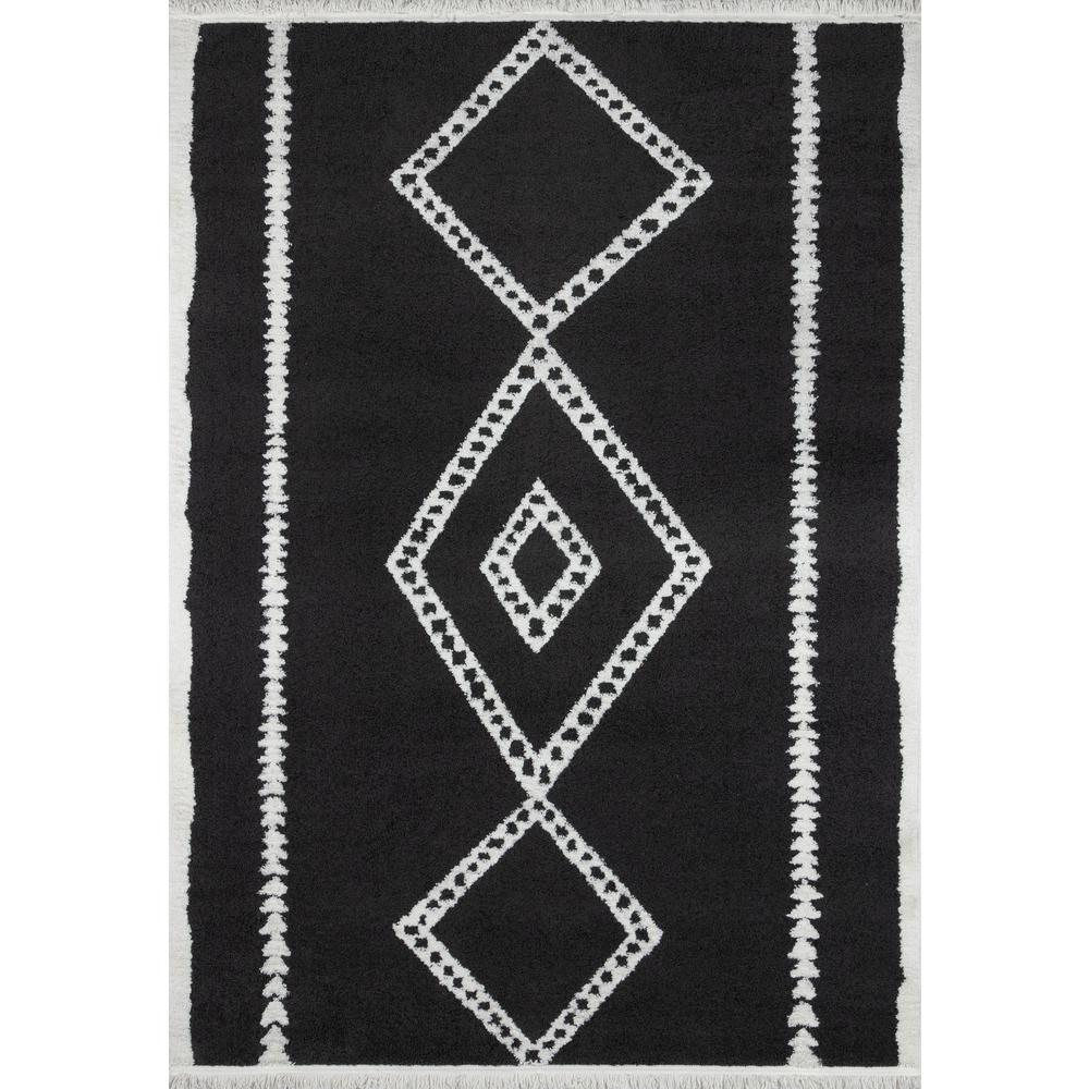 Contemporary Rectangle Area Rug, Black, 9'10" X 12'10". Picture 1