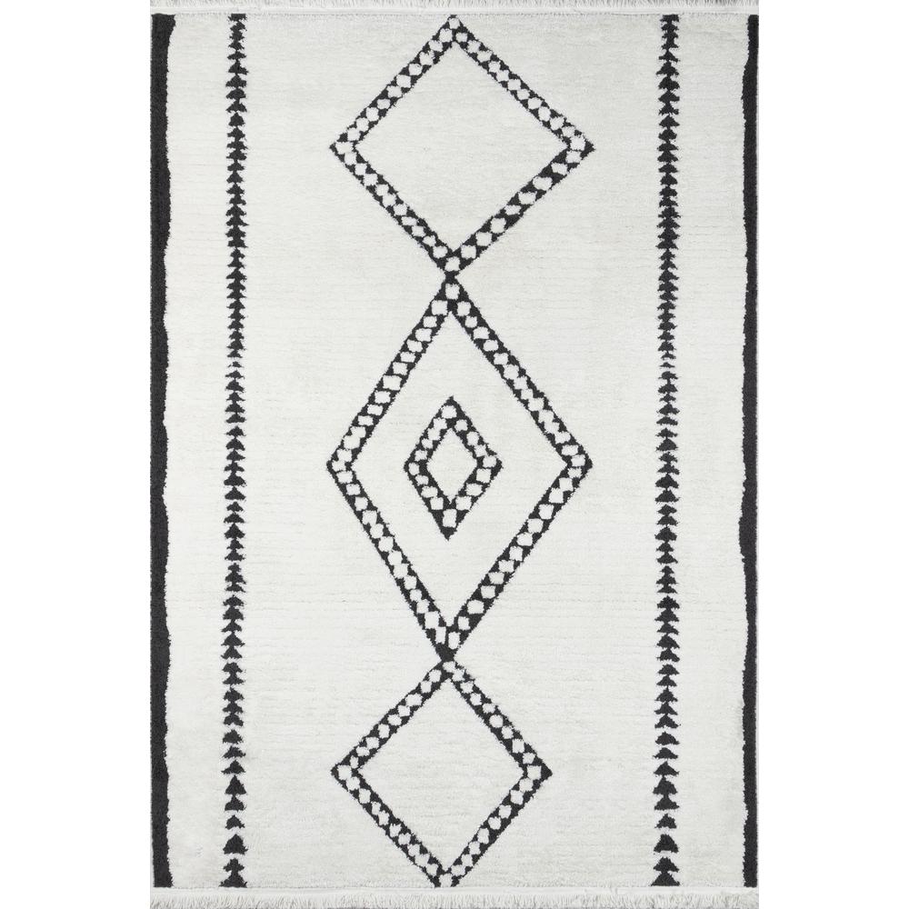 Contemporary Rectangle Area Rug, Ivory, 9'10" X 12'10". Picture 1