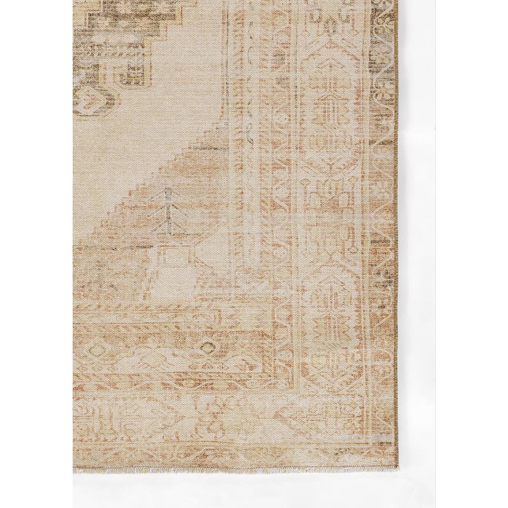 Traditional Runner Area Rug, Beige, 2'3" X 7'6" Runner. Picture 2