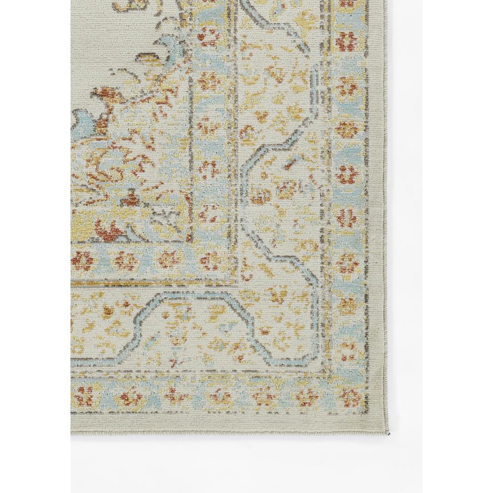 Traditional Runner Area Rug, Ivory, 2'7" X 8' Runner. Picture 5