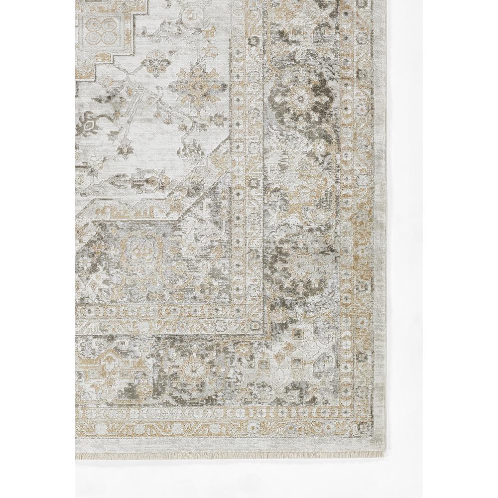 Traditional Rectangle Area Rug, Taupe, 3'11" X 5'5". Picture 2