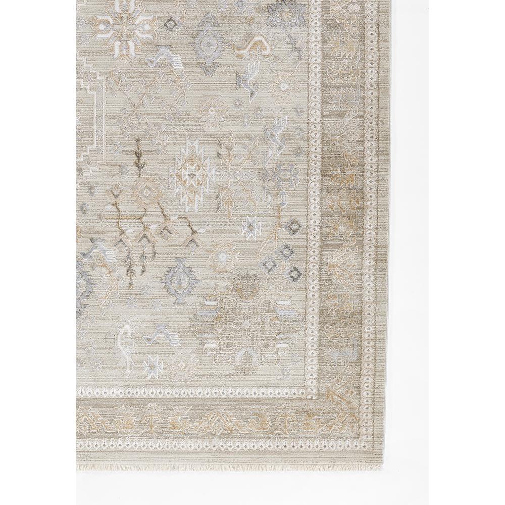 Traditional Rectangle Area Rug, Grey, 3'11" X 5'5". Picture 2