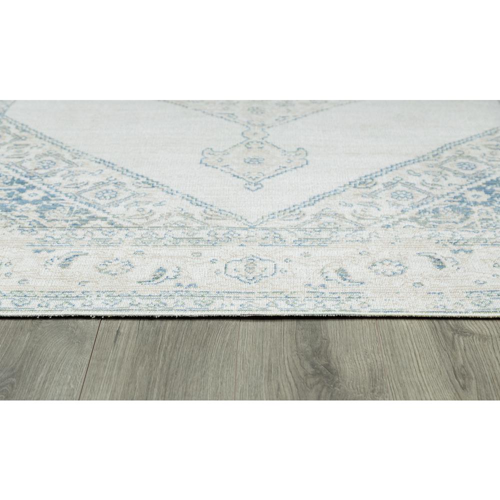Traditional Rectangle Area Rug, Blue, 4' X 6'. Picture 4
