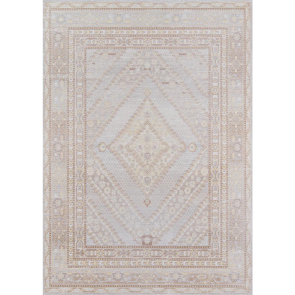 Traditional Rectangle Area Rug, Grey, 4' X 6'. Picture 1